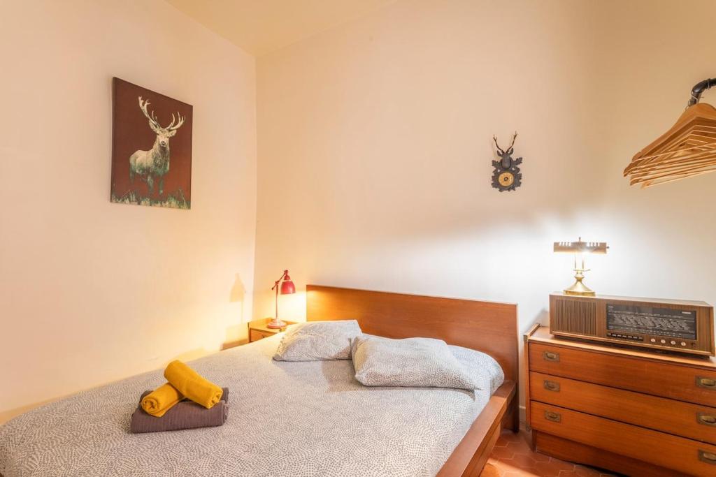 New chic & authentic 1-bedroom apartment in the historic center - 5