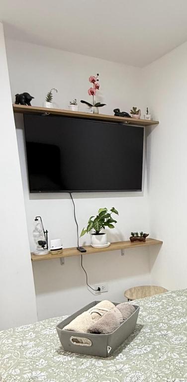 Nice 1BR in the Historic Heart of Pueblo Libre - 3
