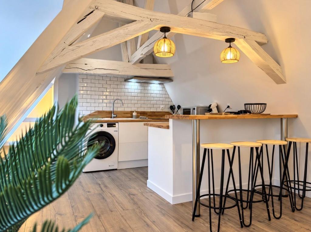 T3 Loft cocon - 4