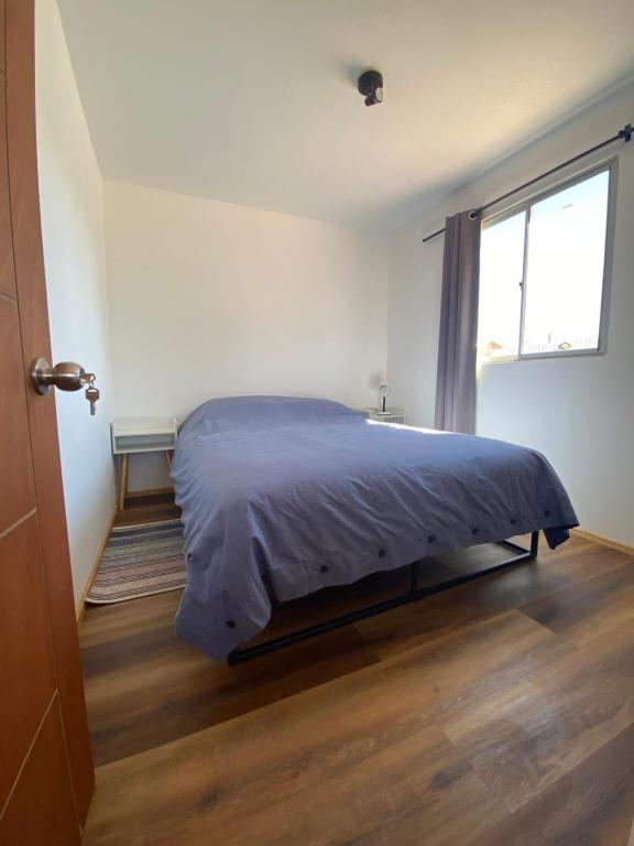 Cielo House - 2