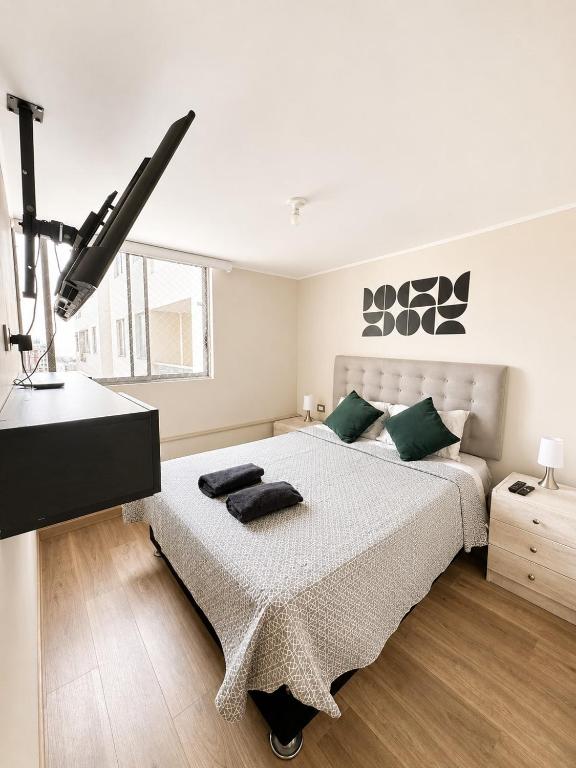 Downtown 2-Bedroom Apartment Rebagliati National Stadium - 2