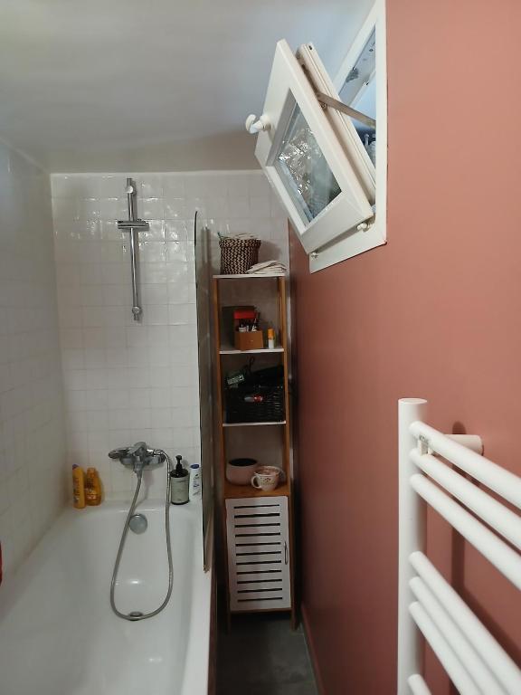 Sunny and Central Flat with a cute cat - 3