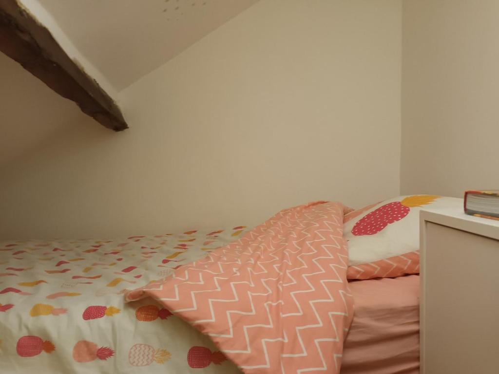 Sunny and Central Flat with a cute cat - 4