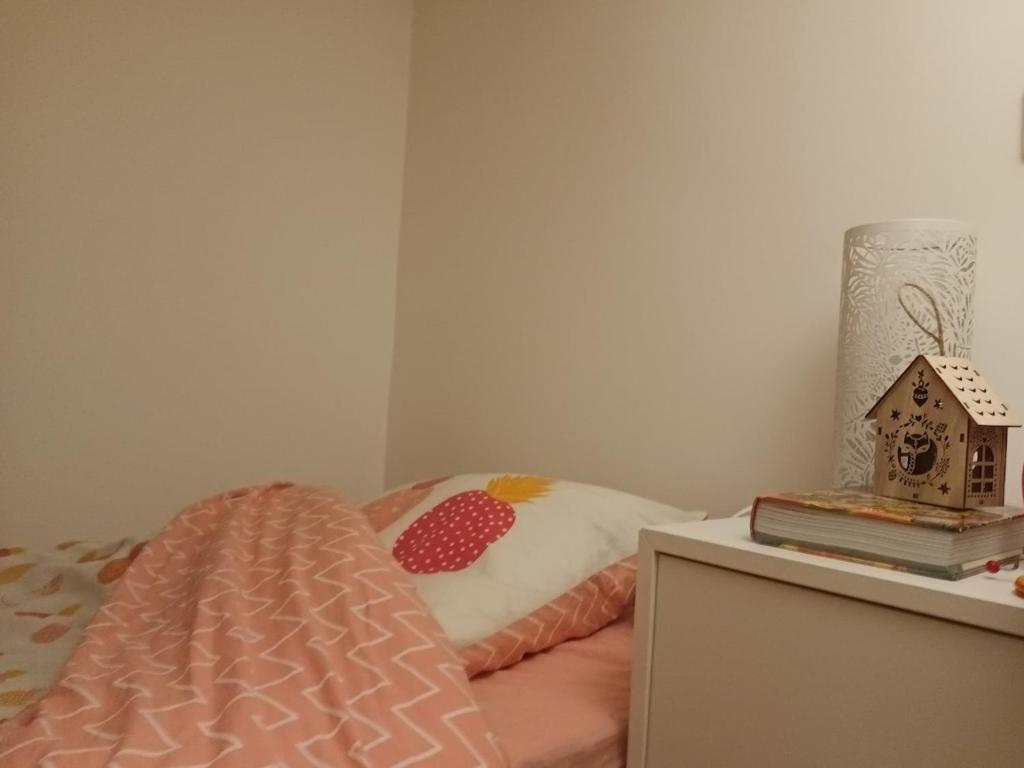 Sunny and Central Flat with a cute cat - 5