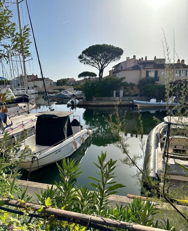 Appartement Port Grimaud 2/4 pers avec grande terrasse - 1