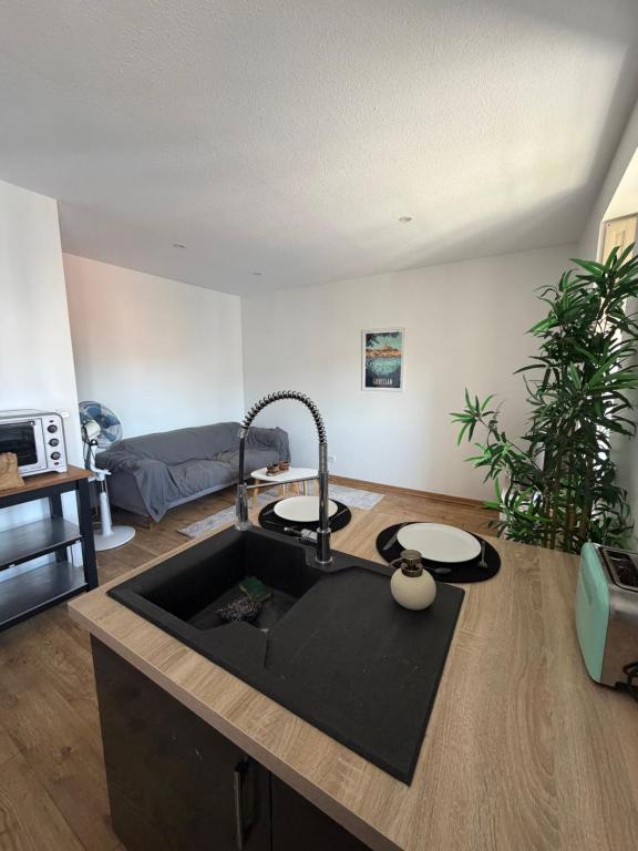 Appartement centre-ville de Narbonne - 4