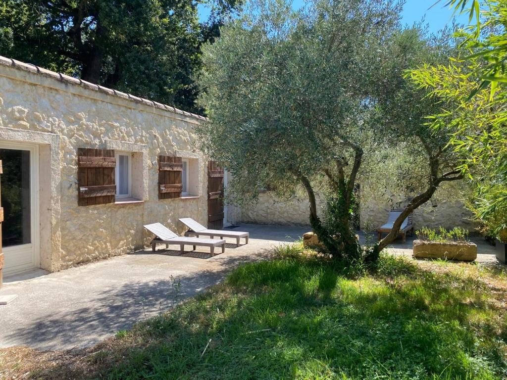 Mazet 2 chambres Île de la Barthelasse Avignon - 1