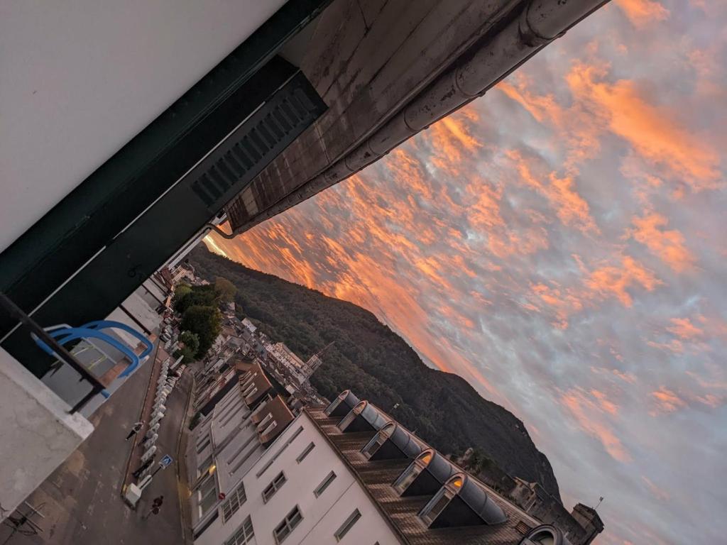 VENUE DU PAPE - Appartement à 3 min des Sanctuaires - Vue Basilique Château & Pyrénées - Tout compris - 4