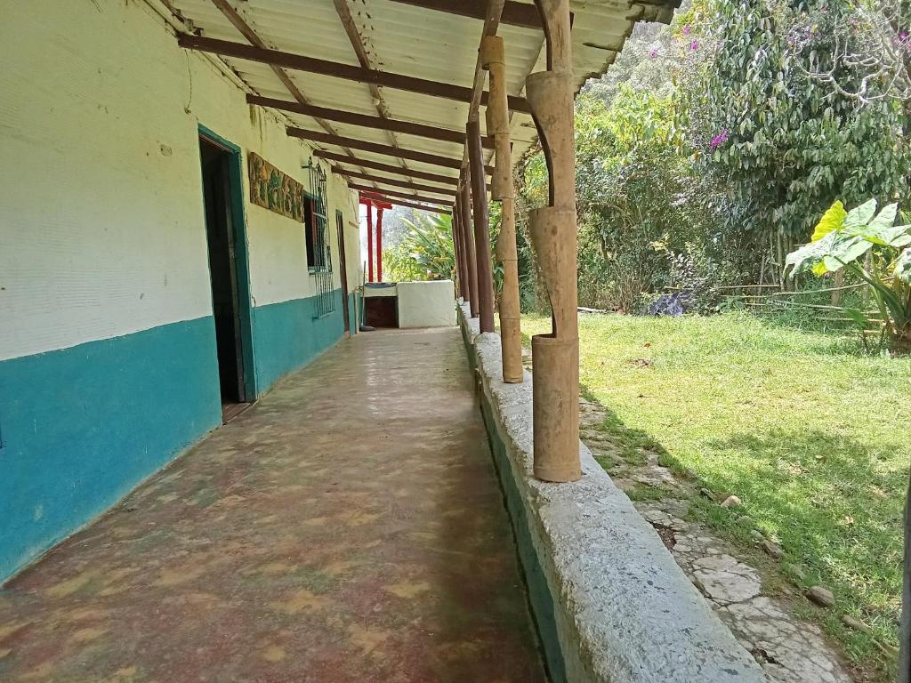 Finca La Menguate - 3