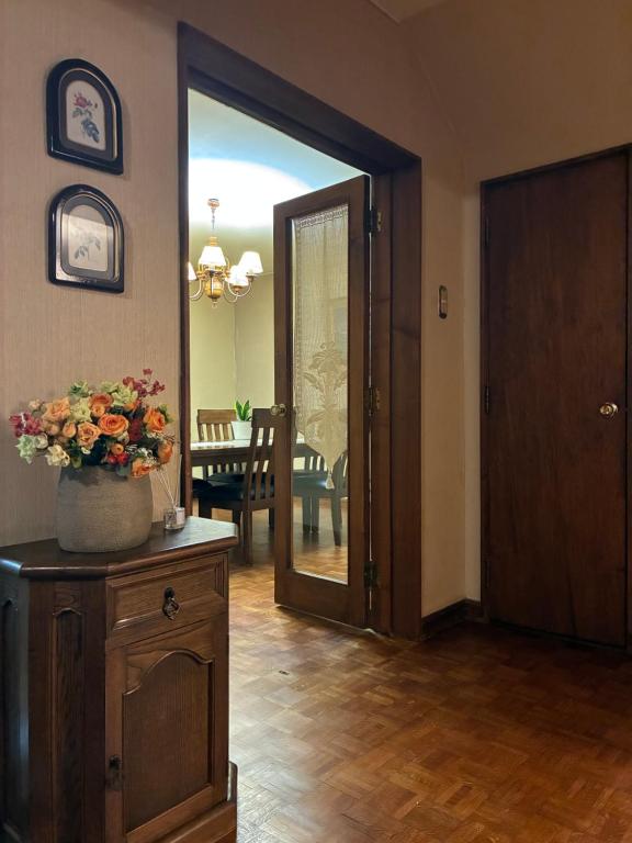 central duplex punta arenas - 4
