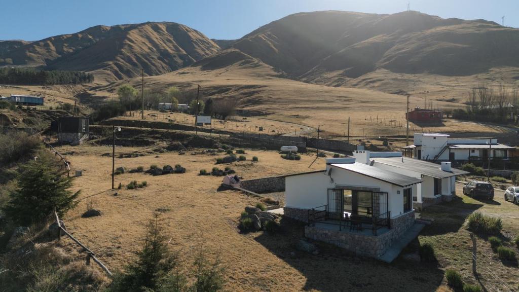 Puro Campo - 5