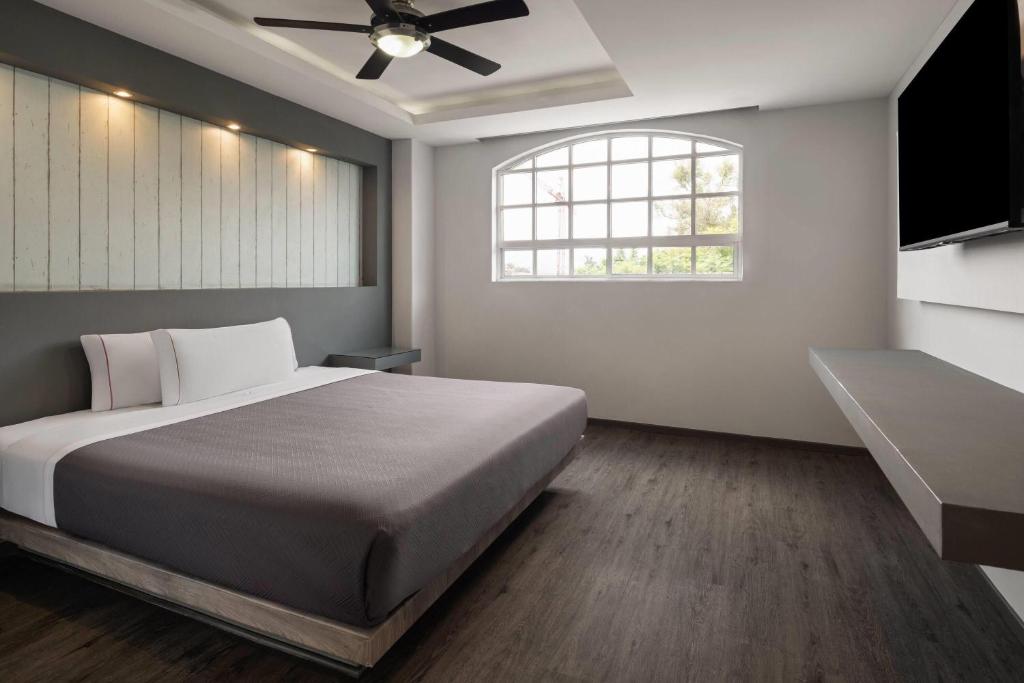 Hotel MX congreso CDMX, Trademark Collection by Wyndham - 5