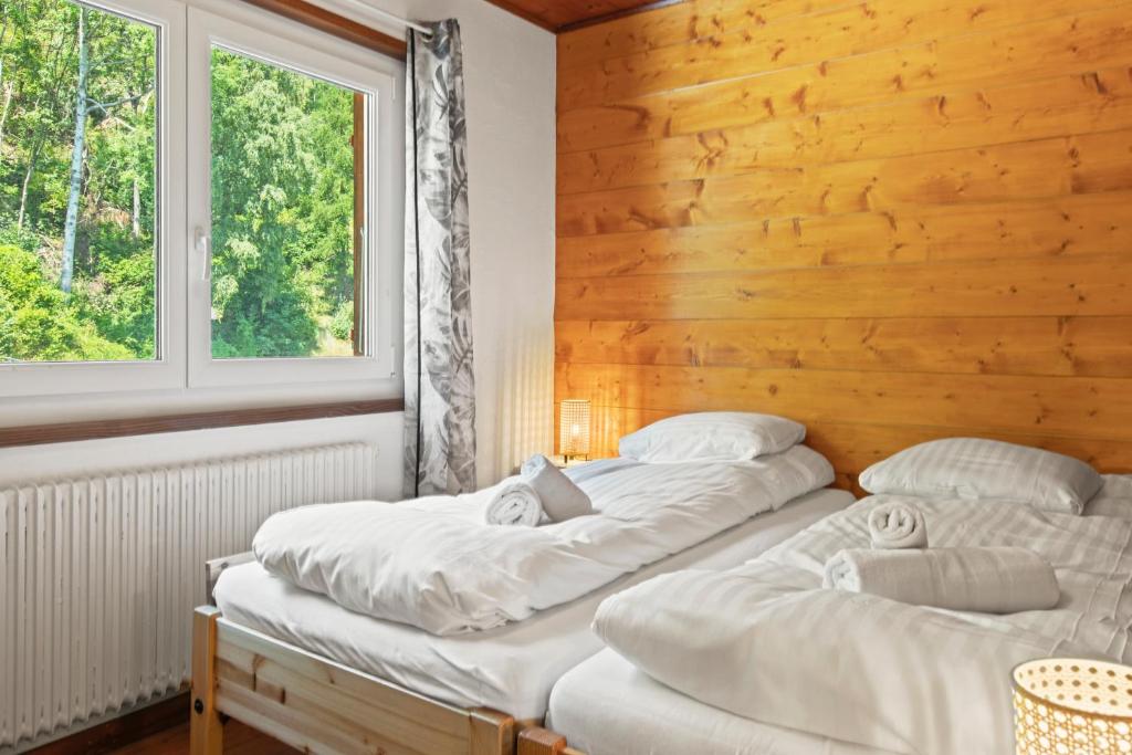 Chalet 10 personnes, vue Dent Blanche, parking - 4