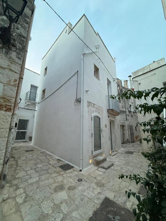 Terra Mia Home - 1