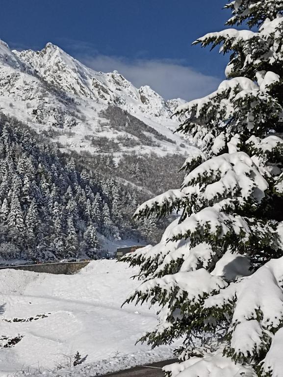 La Sapinière St Lary Soulan - 3