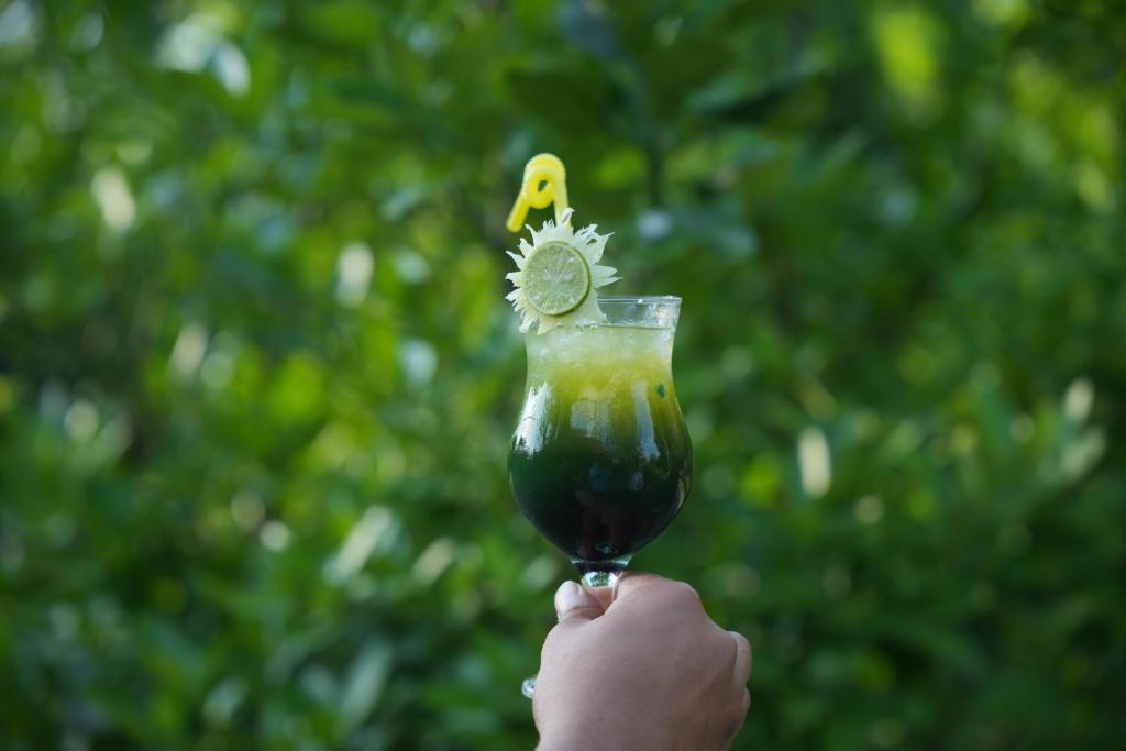 Food and beverages