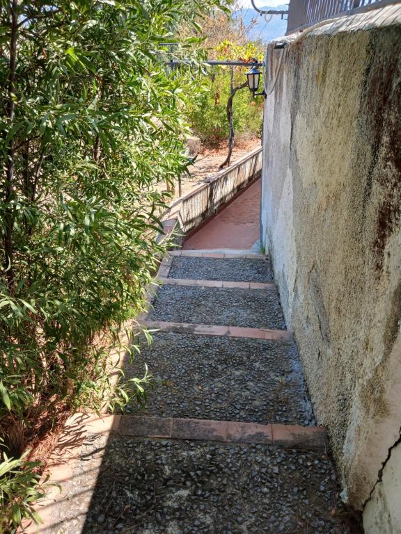 Oasi di Pace - 3