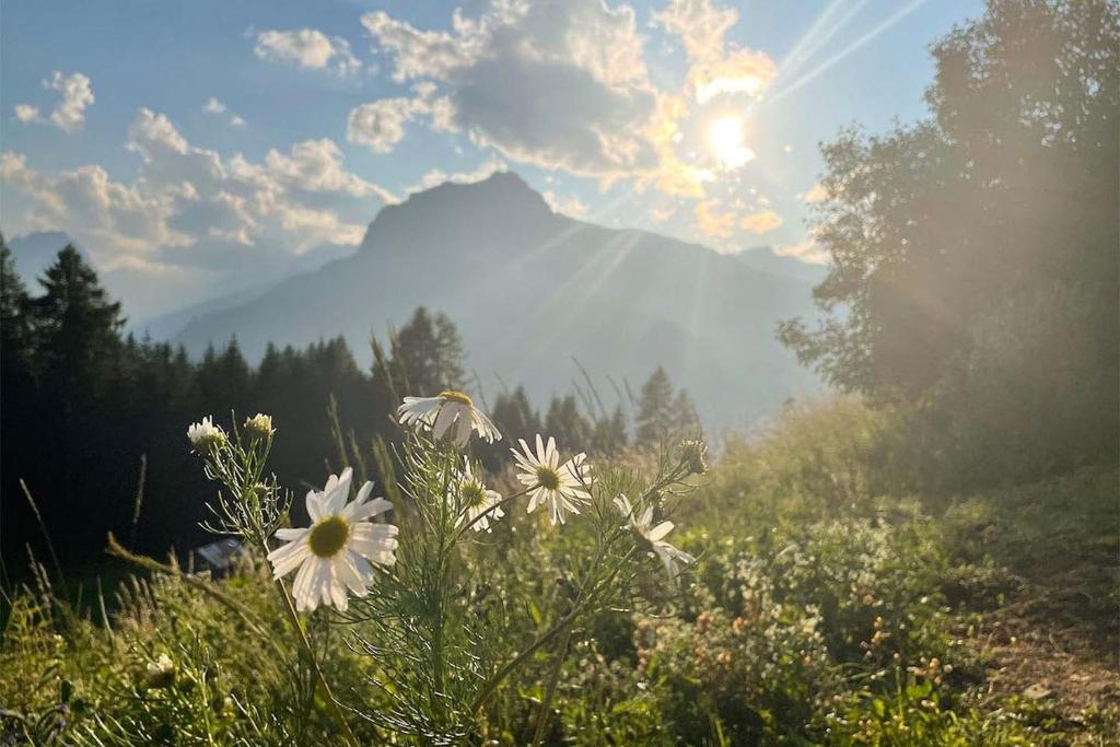 Casa Tie Dolomites Peace, space & stunning views - 3