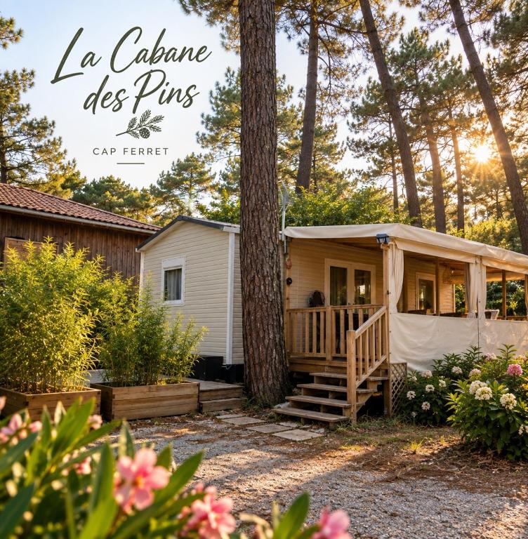 La cabane des pins - 1
