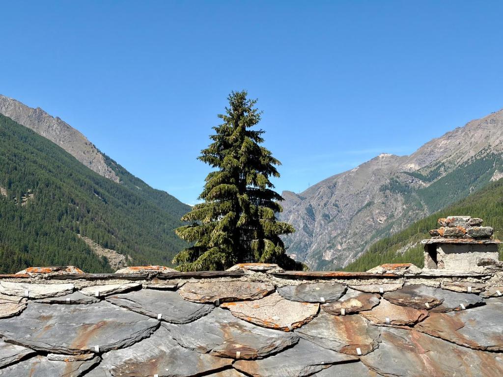 Chez Maria 2 - VOTRE MAISON - 5