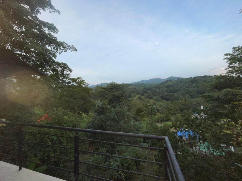 Finca Ecoturística EMG - 4