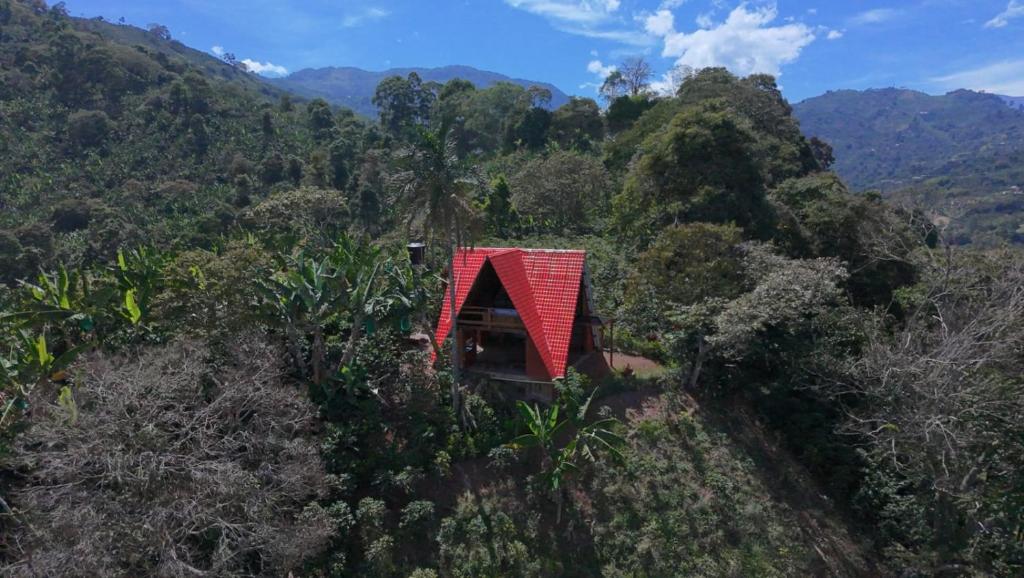 Glamping Coordilleras del Café - 2