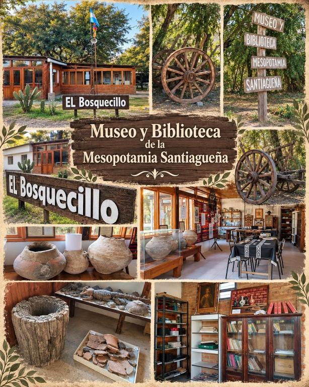 El Bosquesillo Museo - 4