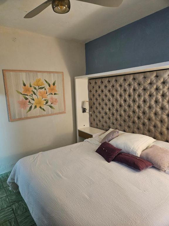 Casa Mestiza - 3
