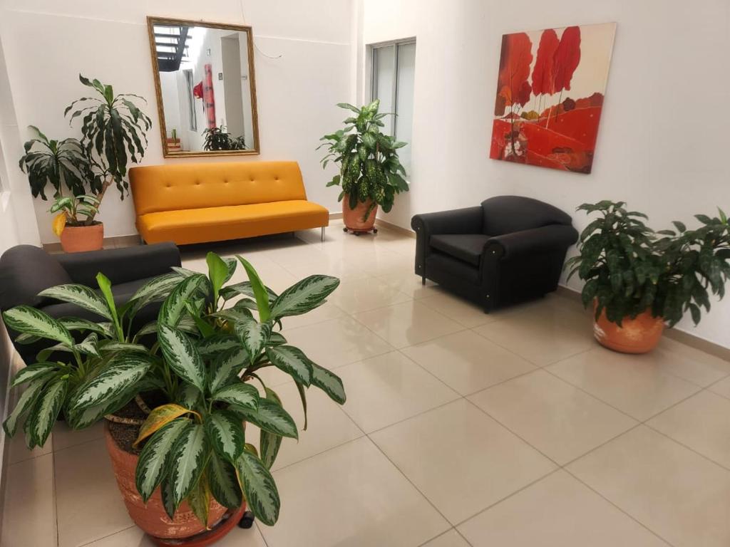 Hotel Violetas Yopal - 3