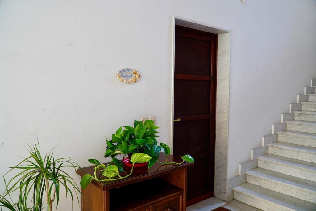 Nonno Pippo Apartment - 3