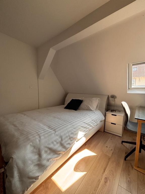 Cosy Apartment near Strasbourg - 3