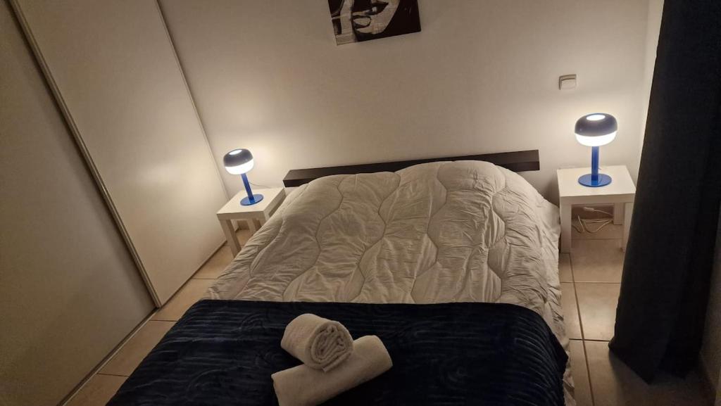 Belle Villa Le PATIO 6p jardin, climatisation, parking privé - 3