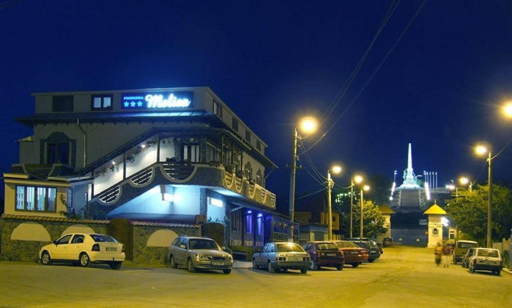 Pensiunea Melisa photo