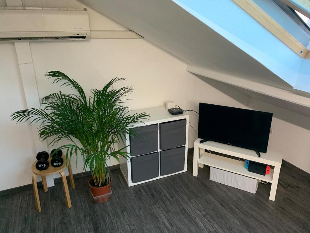 Studio cosy sous les toits - 5