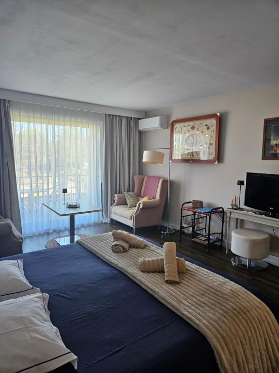 studio classé 3 étoiles, Anglet Chiberta ocean golf surf - 2