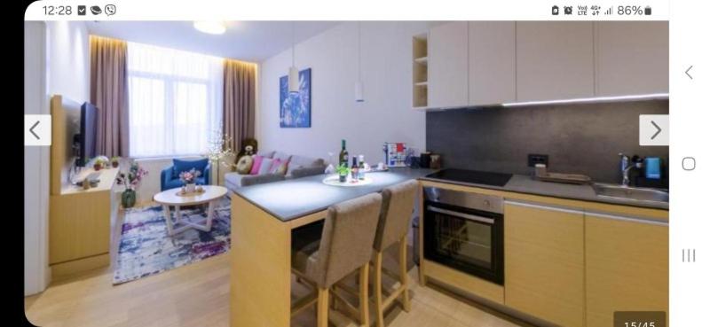 Apartman Vrnjačka Banja - 4
