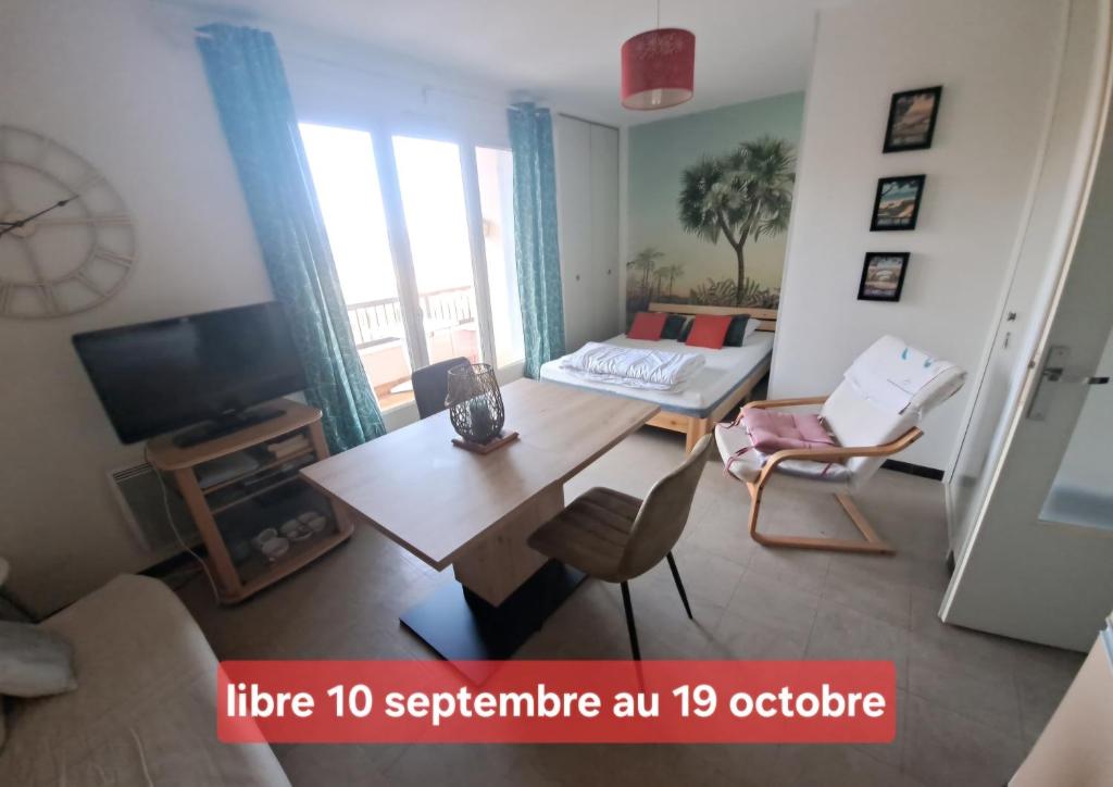 50m des cures accès direct par ascenseur joli studio Gaëlle grand balcon vue dégagée libre jusqu'au 19 octobre - 3