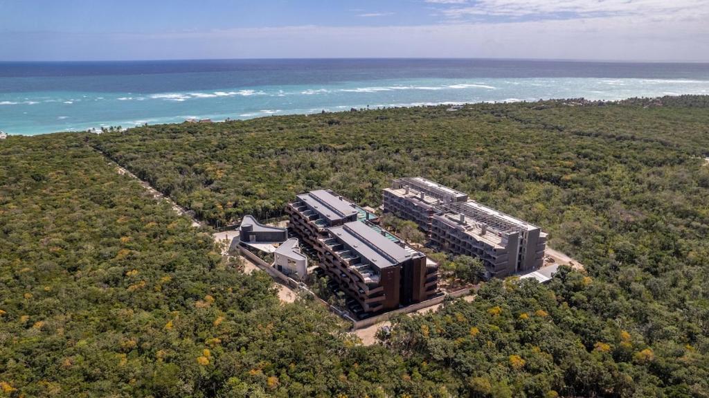 Amazing 1bdr Jacuzzi steps from sea maya ruins - 5