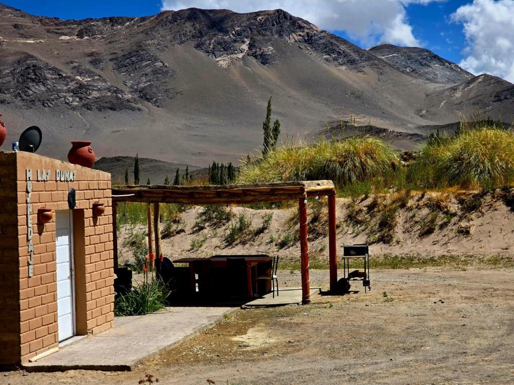 Hospedaje y Excursiones Las Dunas - 4