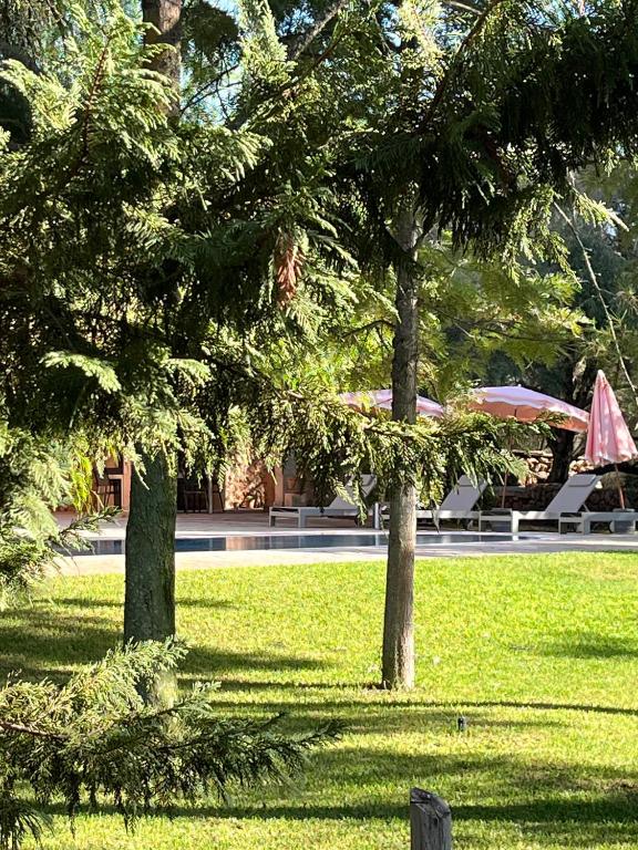 Country House Es Trenc - 5