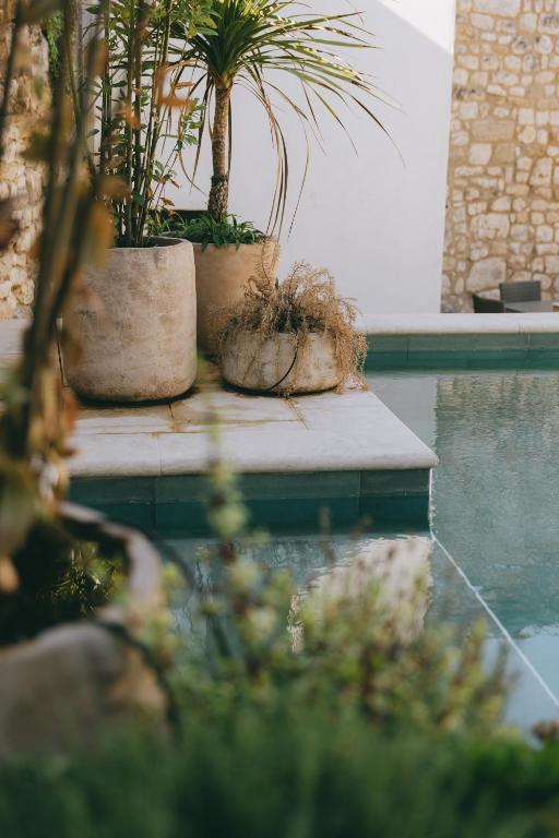Authentique maison en pierre avec piscine aux portes d'Uzès - 3