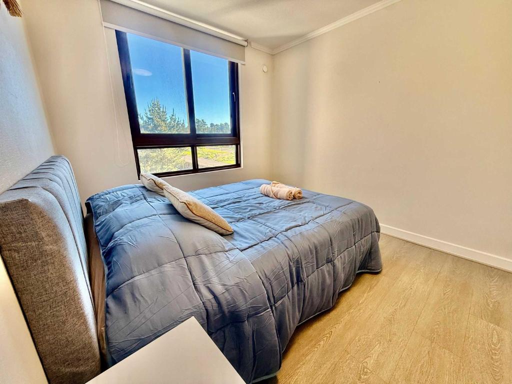 Enjoy Concon in two suites at Bosquemar - 5