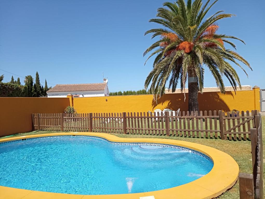 Casa siempreverde - 2