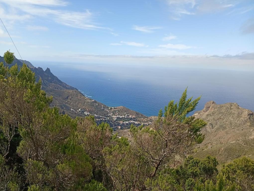 Ocean view with terrace - 2