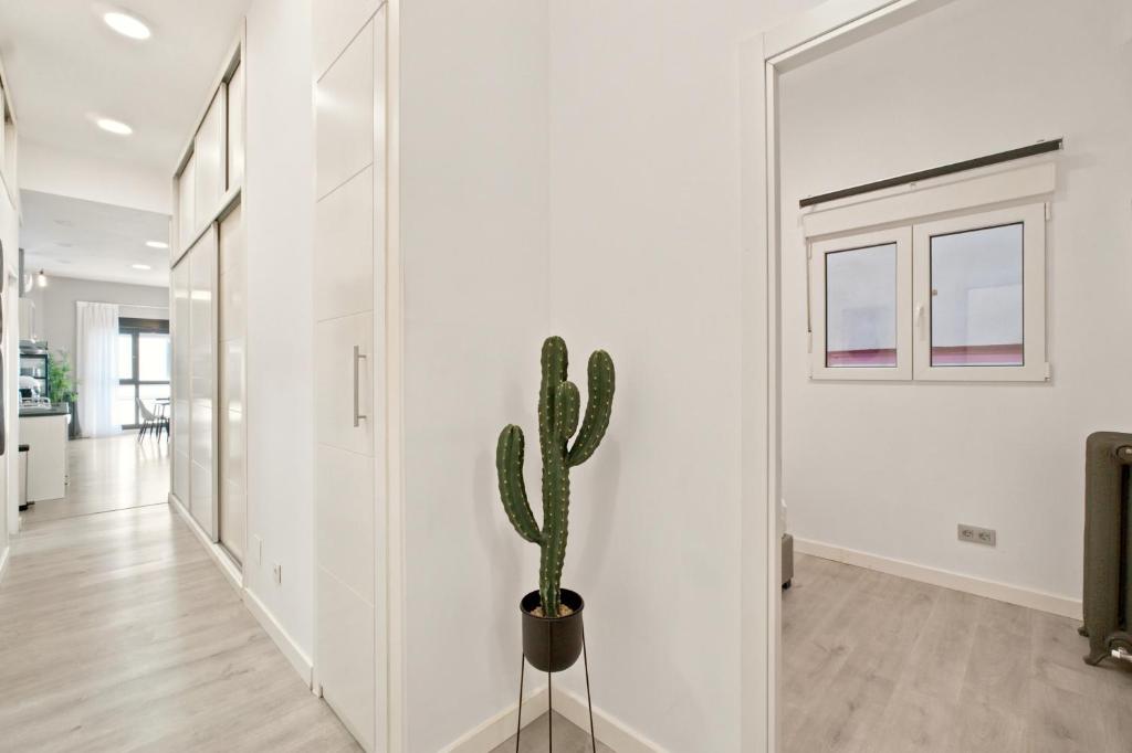 Amplio Apartamento Puerta del Sol - 4