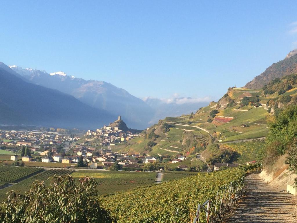 Saillon Bains, randos, vélo, ski & vignes - 4