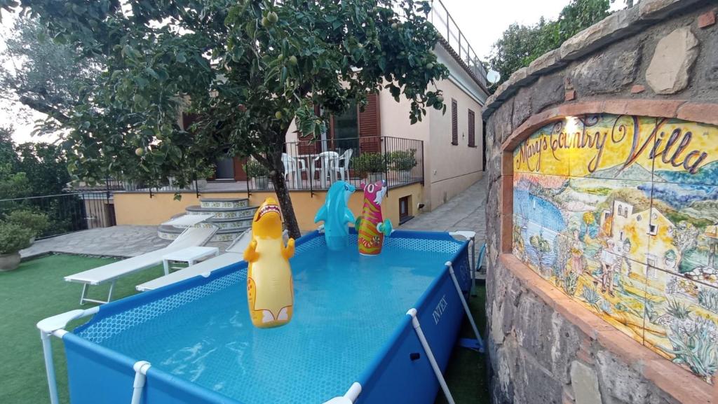 Mary's Country Villa - Villa in charming and amazing Sorrento Coast - 5
