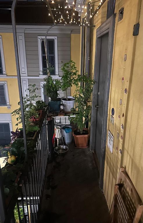My little house - 4
