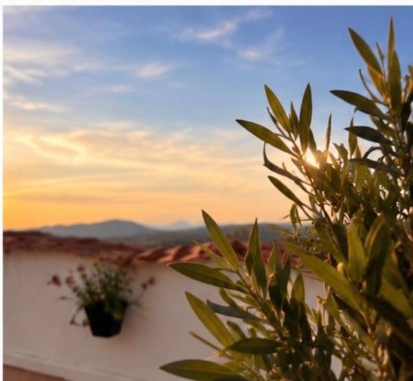 Casa Vacanze Anna - 4