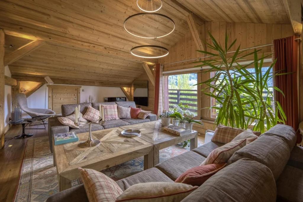 Very nice facing chalet with large terrace - 3